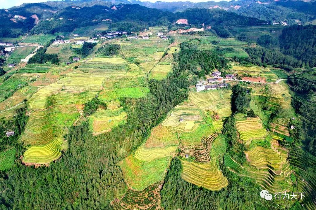 广西龙胜梯田景区民宿_广西龙胜梯田旅游攻略_广西龙胜梯田景区门票
