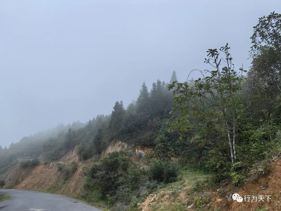 广西龙胜梯田景区门票_广西龙胜梯田景区民宿_广西龙胜梯田旅游攻略