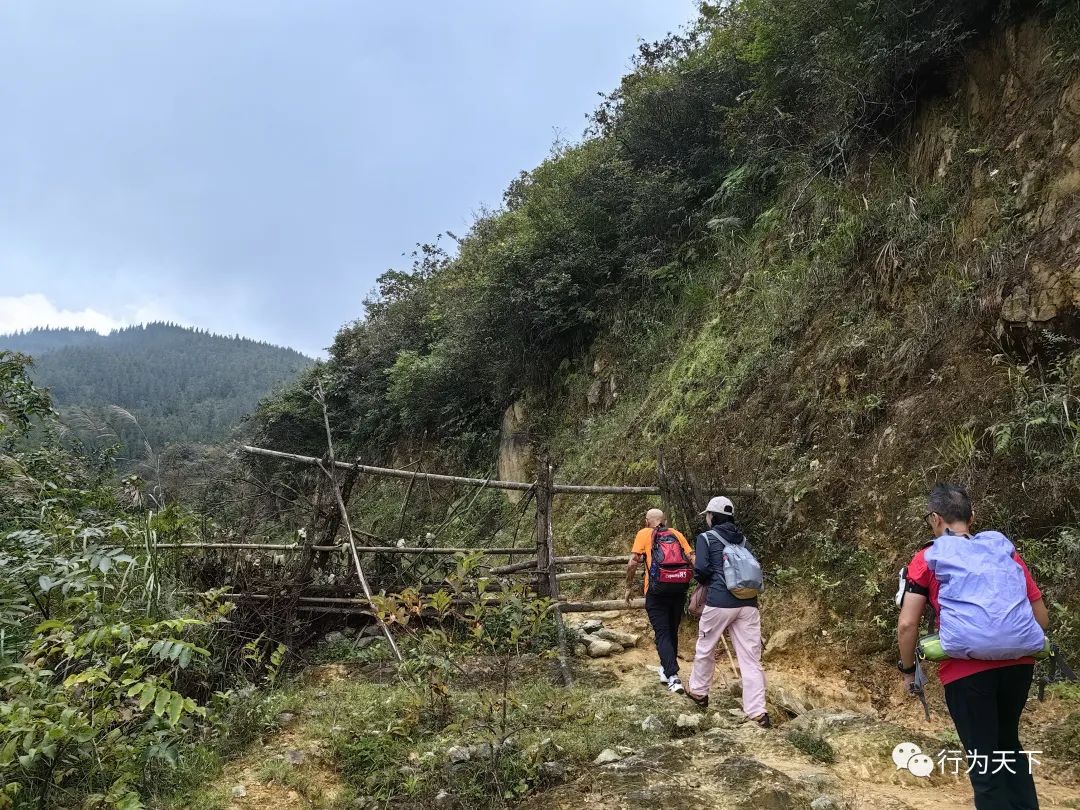 广西龙胜梯田景区民宿_广西龙胜梯田旅游攻略_广西龙胜梯田景区门票