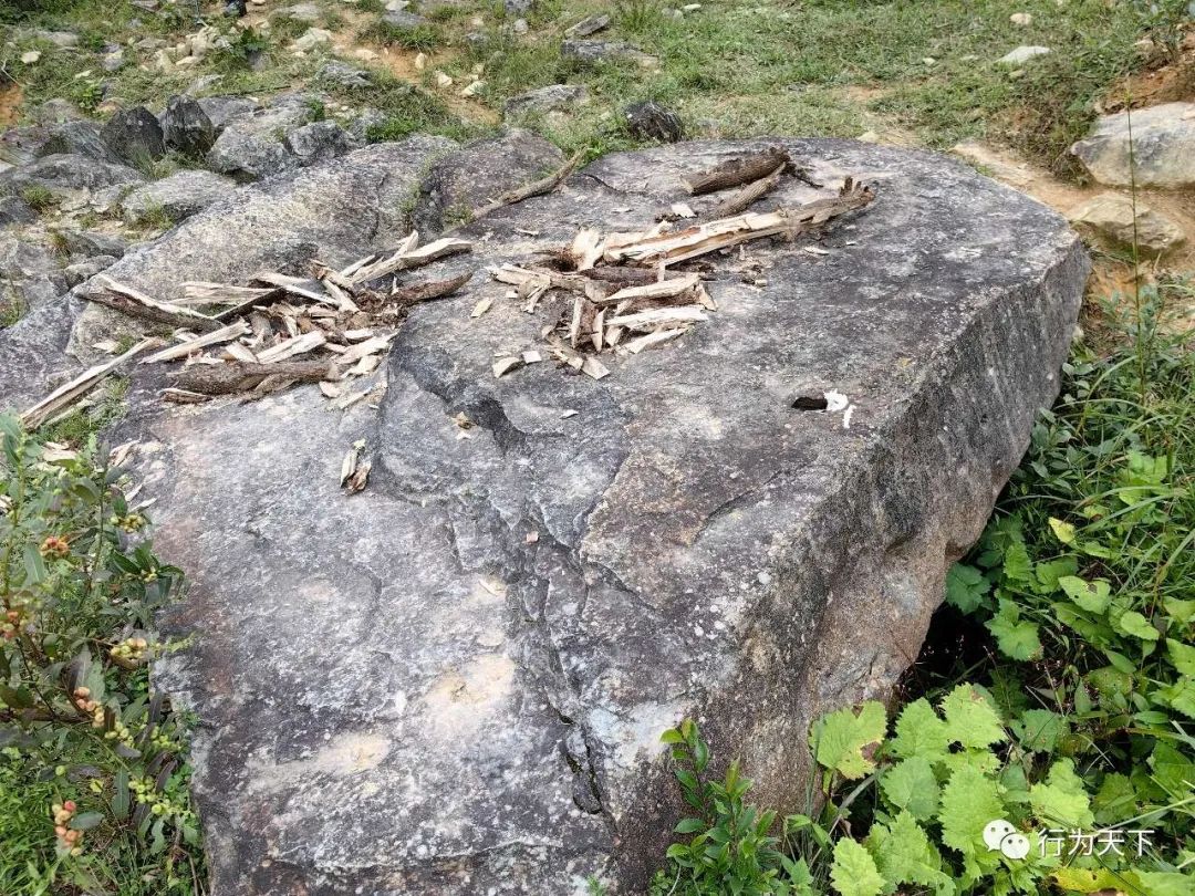 广西龙胜梯田景区民宿_广西龙胜梯田旅游攻略_广西龙胜梯田景区门票