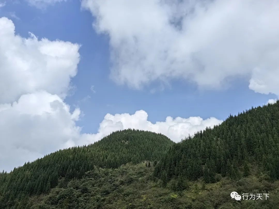 广西龙胜梯田景区民宿_广西龙胜梯田旅游攻略_广西龙胜梯田景区门票