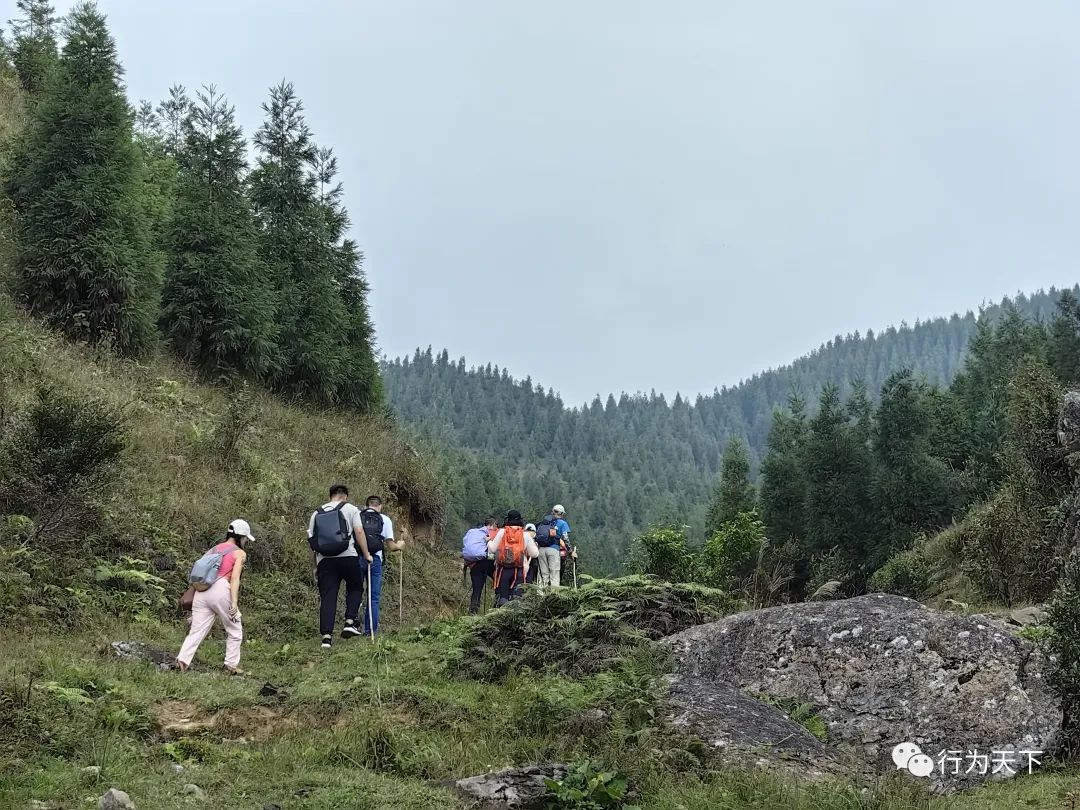 广西龙胜梯田景区门票_广西龙胜梯田旅游攻略_广西龙胜梯田景区民宿