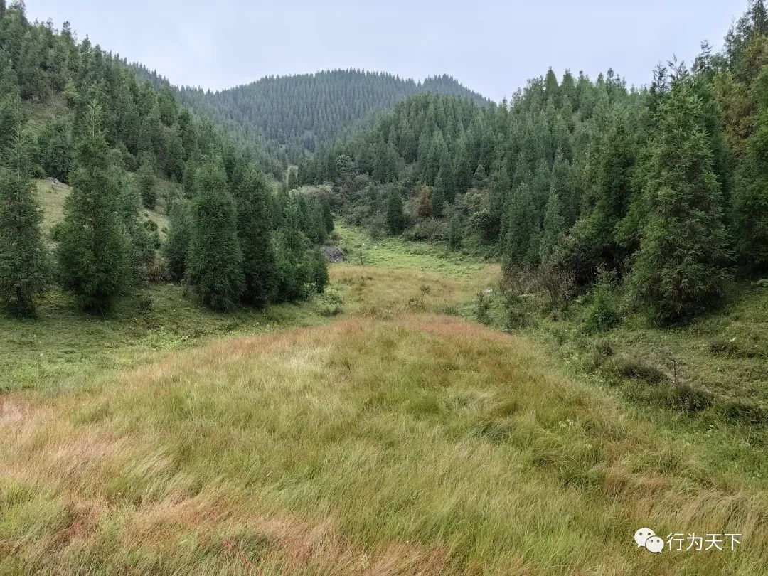 广西龙胜梯田景区民宿_广西龙胜梯田旅游攻略_广西龙胜梯田景区门票