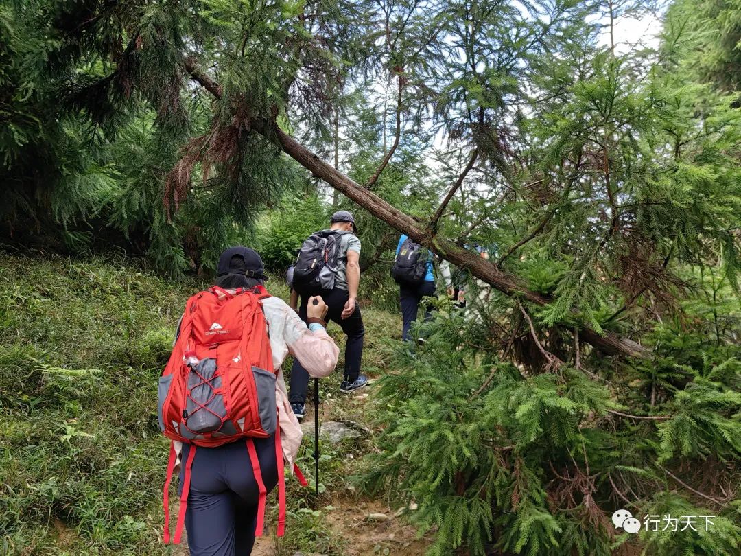 广西龙胜梯田旅游攻略_广西龙胜梯田景区门票_广西龙胜梯田景区民宿