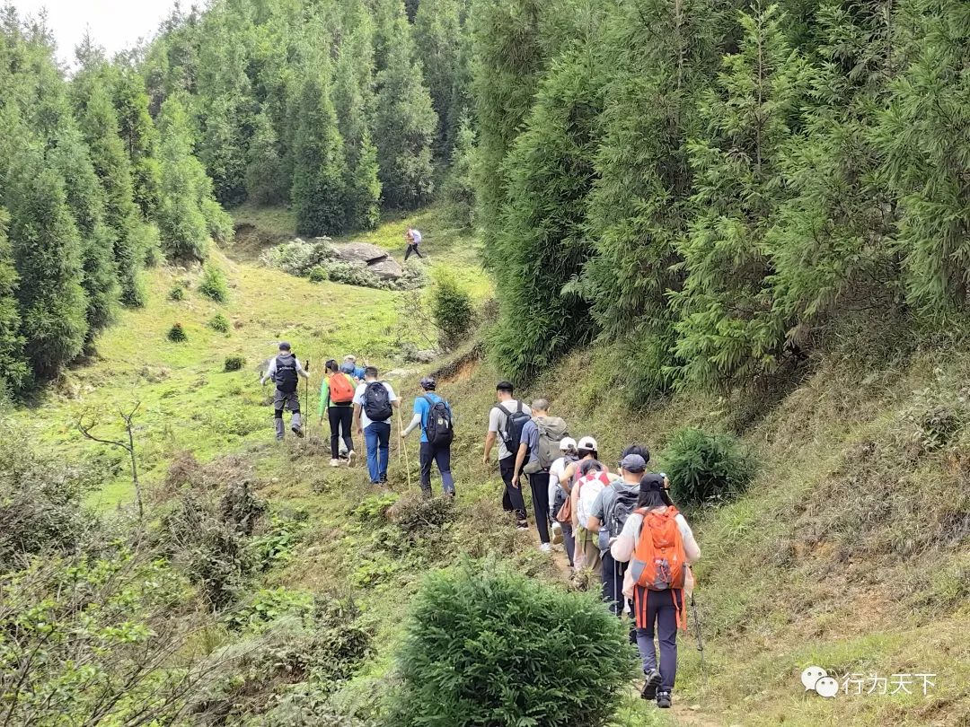 广西龙胜梯田旅游攻略_广西龙胜梯田景区门票_广西龙胜梯田景区民宿