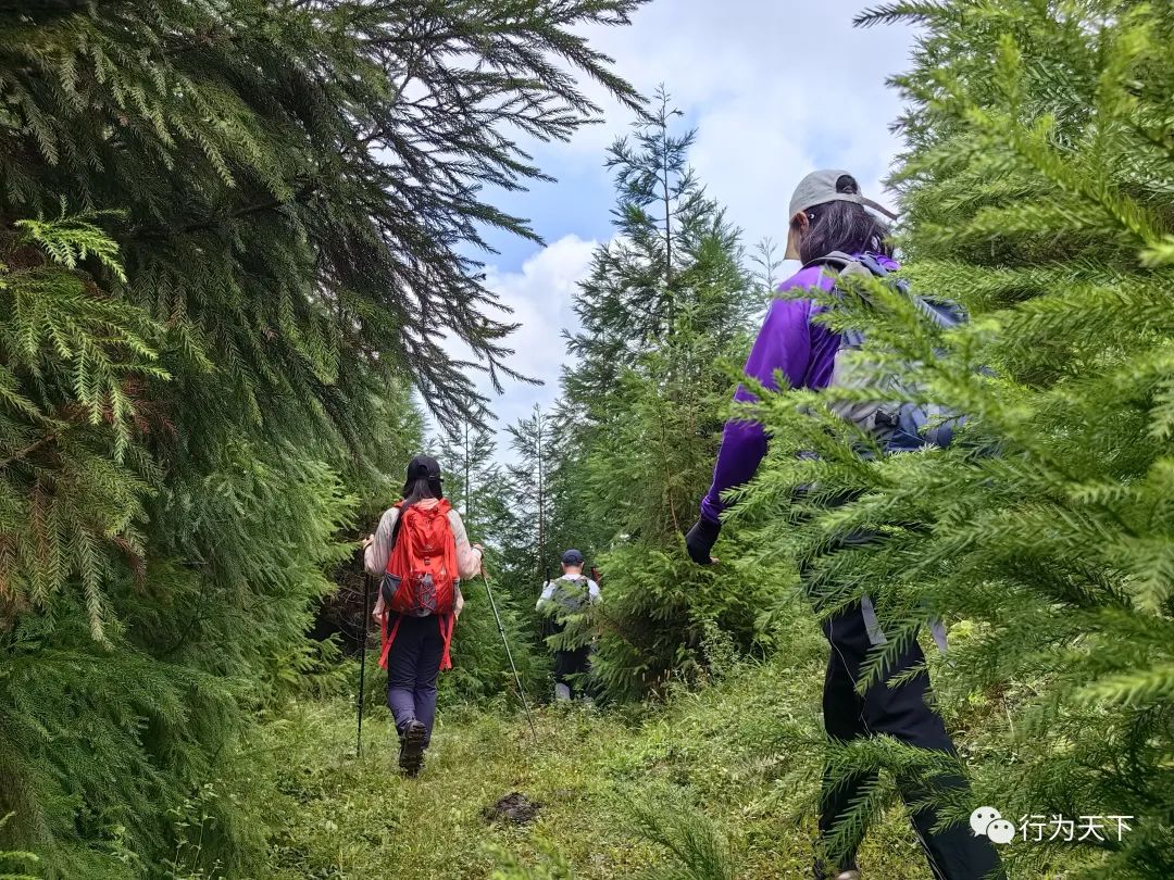 广西龙胜梯田景区门票_广西龙胜梯田旅游攻略_广西龙胜梯田景区民宿