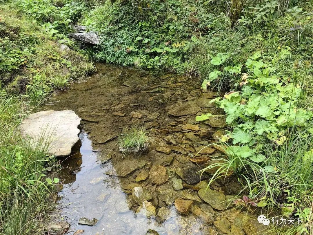 广西龙胜梯田景区门票_广西龙胜梯田景区民宿_广西龙胜梯田旅游攻略