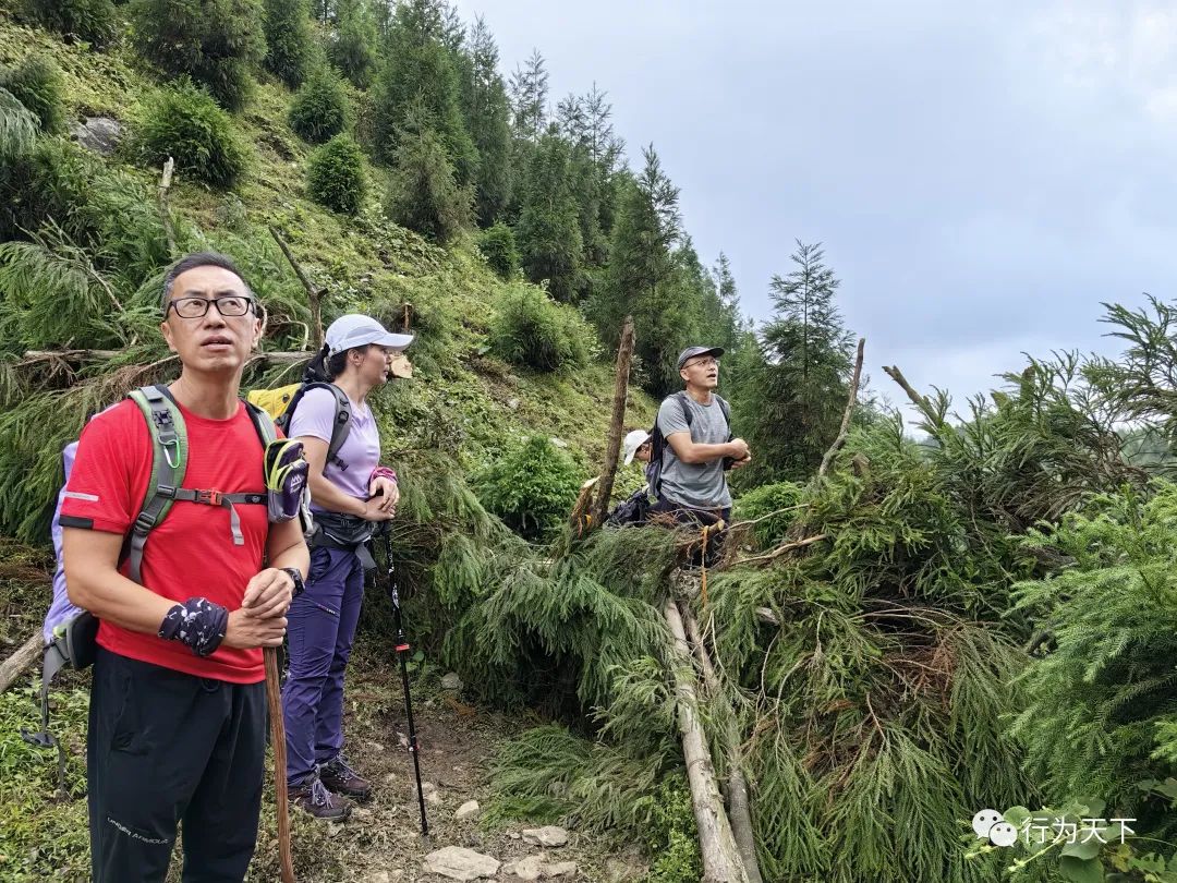 广西龙胜梯田景区民宿_广西龙胜梯田旅游攻略_广西龙胜梯田景区门票