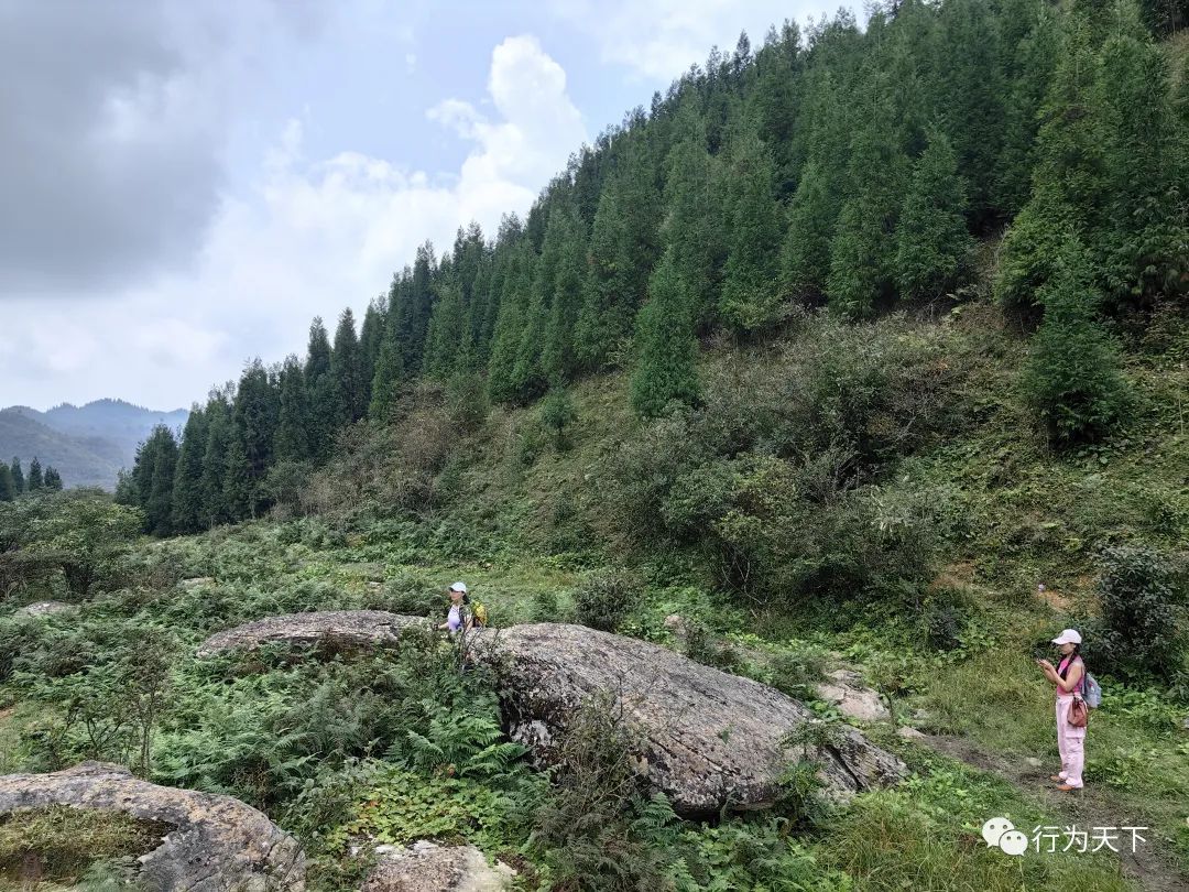 广西龙胜梯田旅游攻略_广西龙胜梯田景区门票_广西龙胜梯田景区民宿