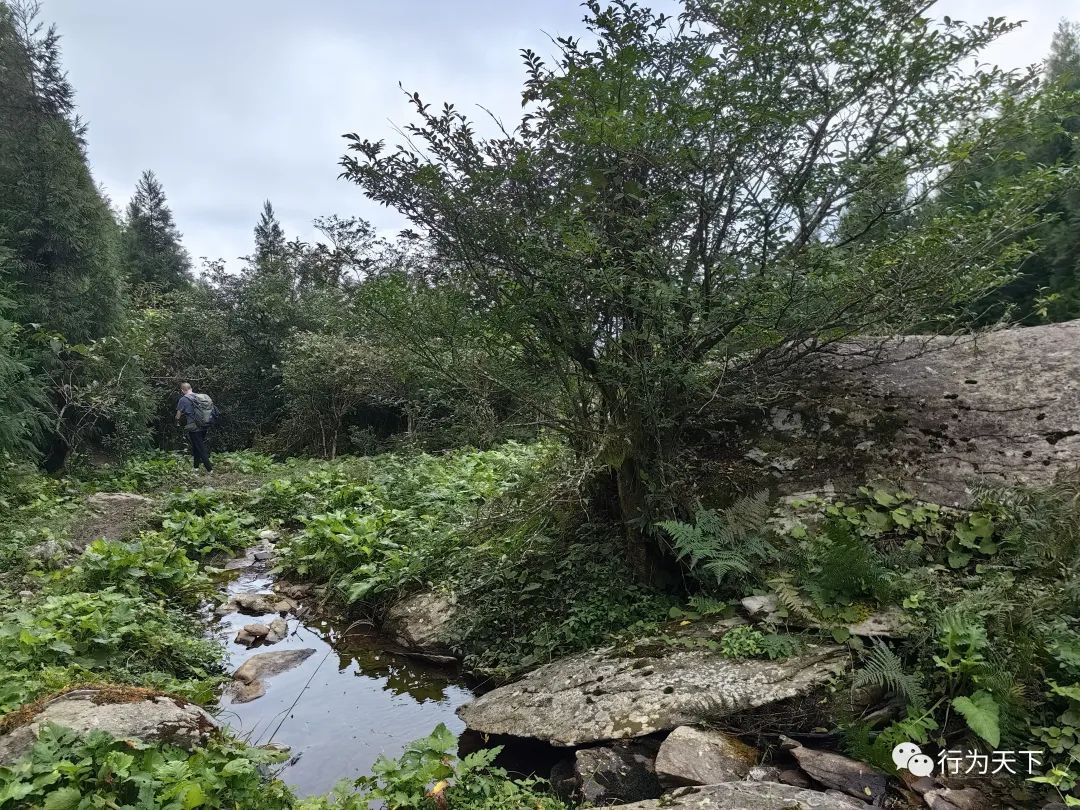 广西龙胜梯田景区门票_广西龙胜梯田景区民宿_广西龙胜梯田旅游攻略