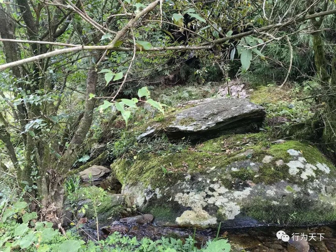 广西龙胜梯田旅游攻略_广西龙胜梯田景区民宿_广西龙胜梯田景区门票
