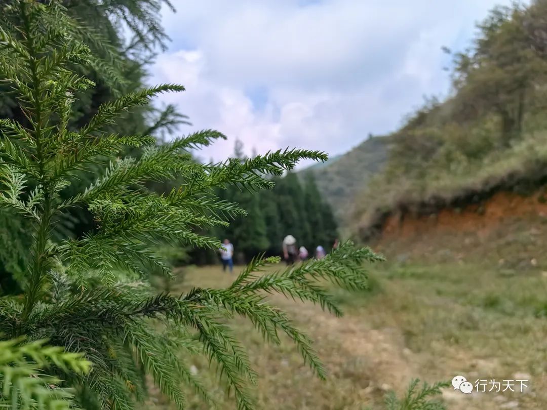 广西龙胜梯田景区门票_广西龙胜梯田景区民宿_广西龙胜梯田旅游攻略