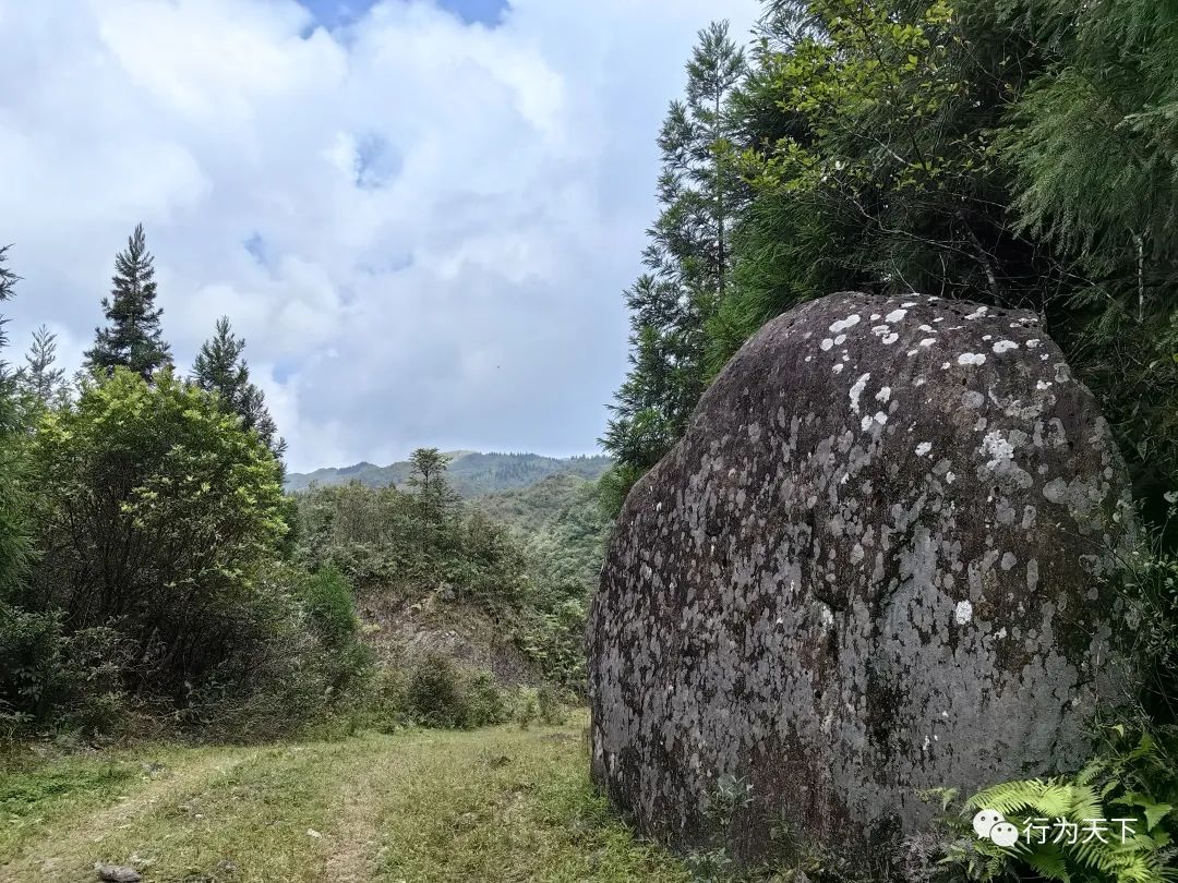 广西龙胜梯田旅游攻略_广西龙胜梯田景区民宿_广西龙胜梯田景区门票