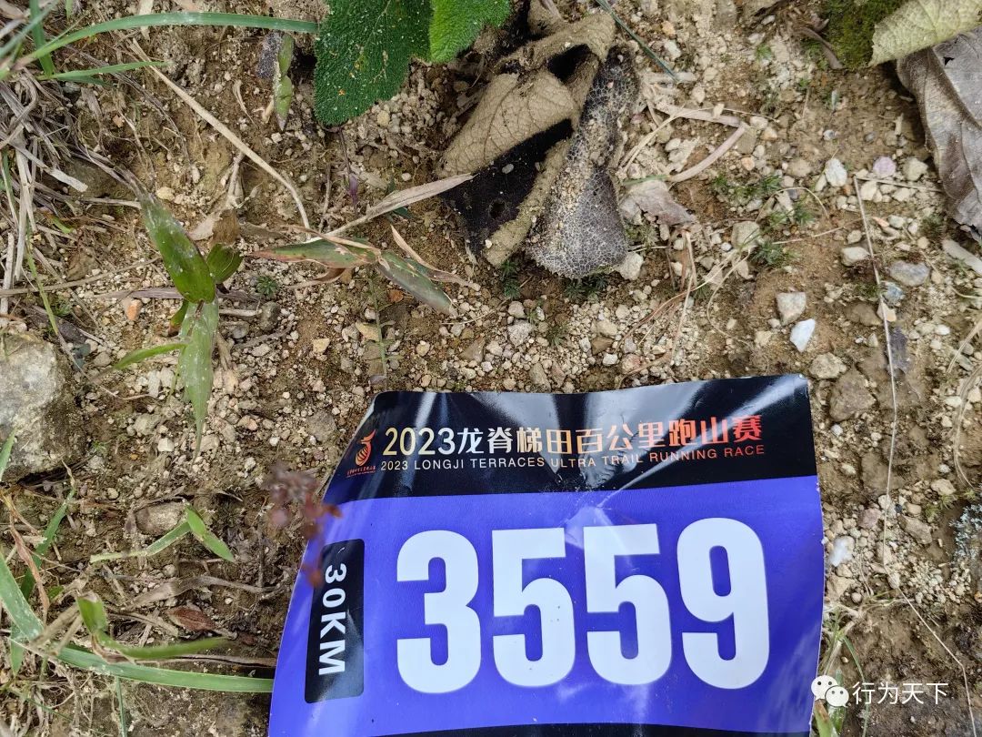 广西龙胜梯田旅游攻略_广西龙胜梯田景区民宿_广西龙胜梯田景区门票