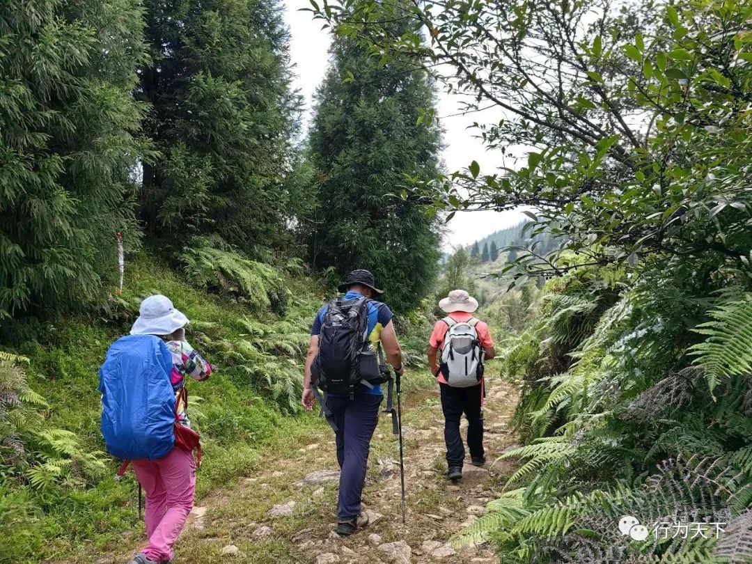 广西龙胜梯田景区民宿_广西龙胜梯田景区门票_广西龙胜梯田旅游攻略