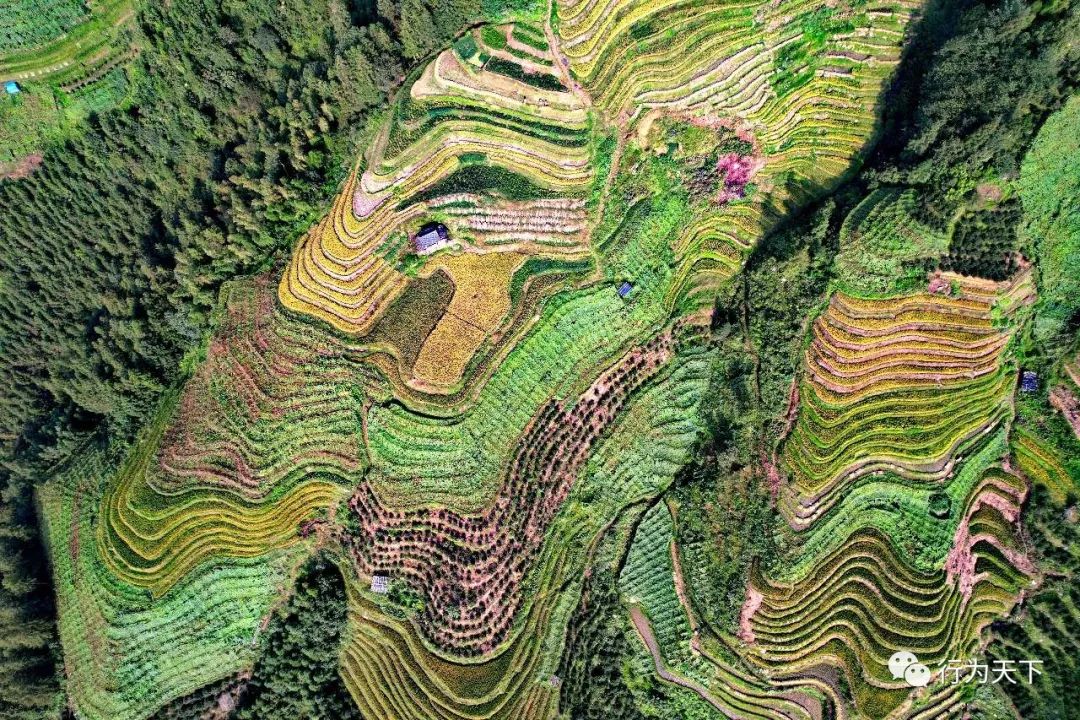 广西龙胜梯田景区民宿_广西龙胜梯田旅游攻略_广西龙胜梯田景区门票