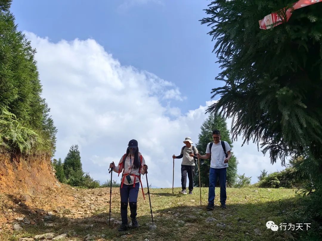 广西龙胜梯田景区民宿_广西龙胜梯田旅游攻略_广西龙胜梯田景区门票