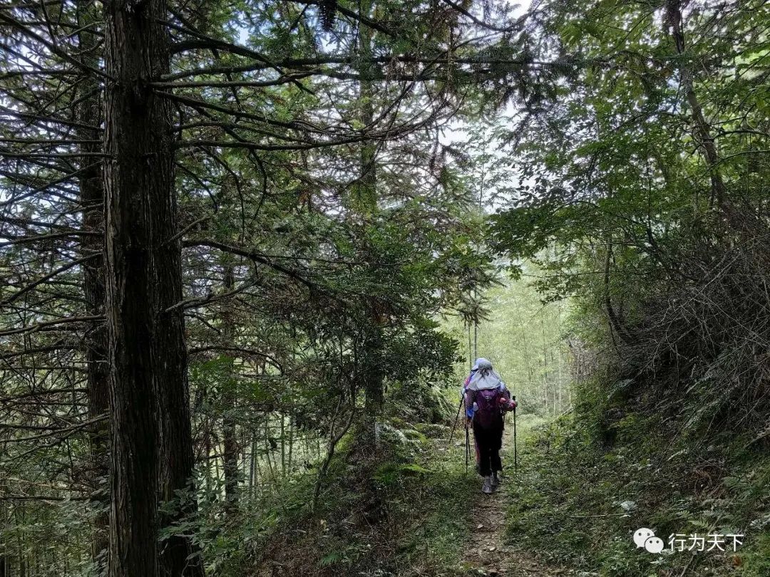 广西龙胜梯田景区门票_广西龙胜梯田景区民宿_广西龙胜梯田旅游攻略
