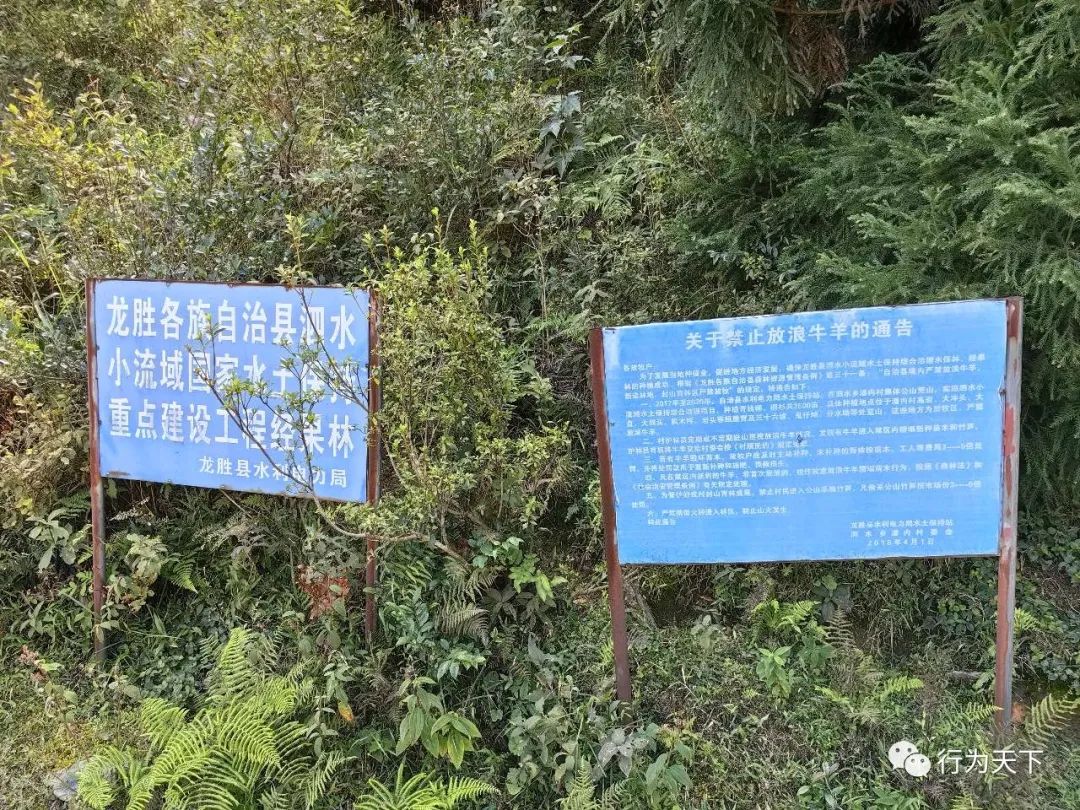广西龙胜梯田景区门票_广西龙胜梯田旅游攻略_广西龙胜梯田景区民宿