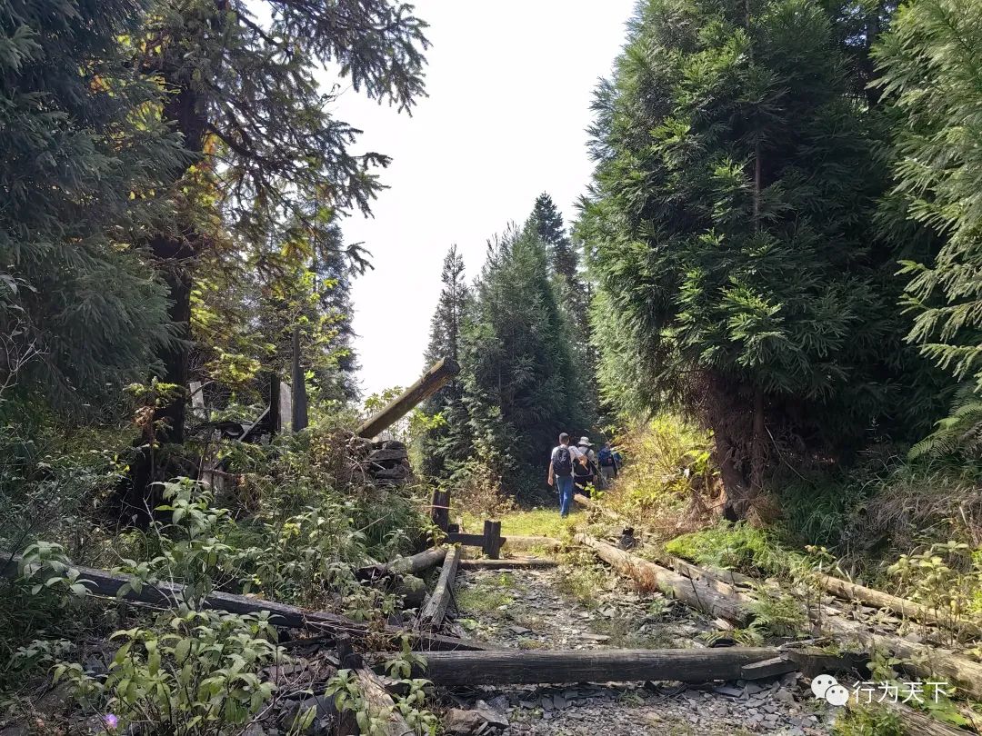广西龙胜梯田景区民宿_广西龙胜梯田景区门票_广西龙胜梯田旅游攻略