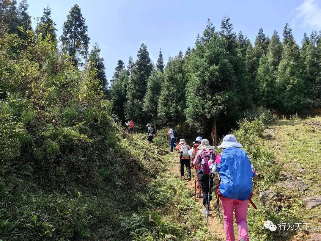 广西龙胜梯田旅游攻略_广西龙胜梯田景区门票_广西龙胜梯田景区民宿