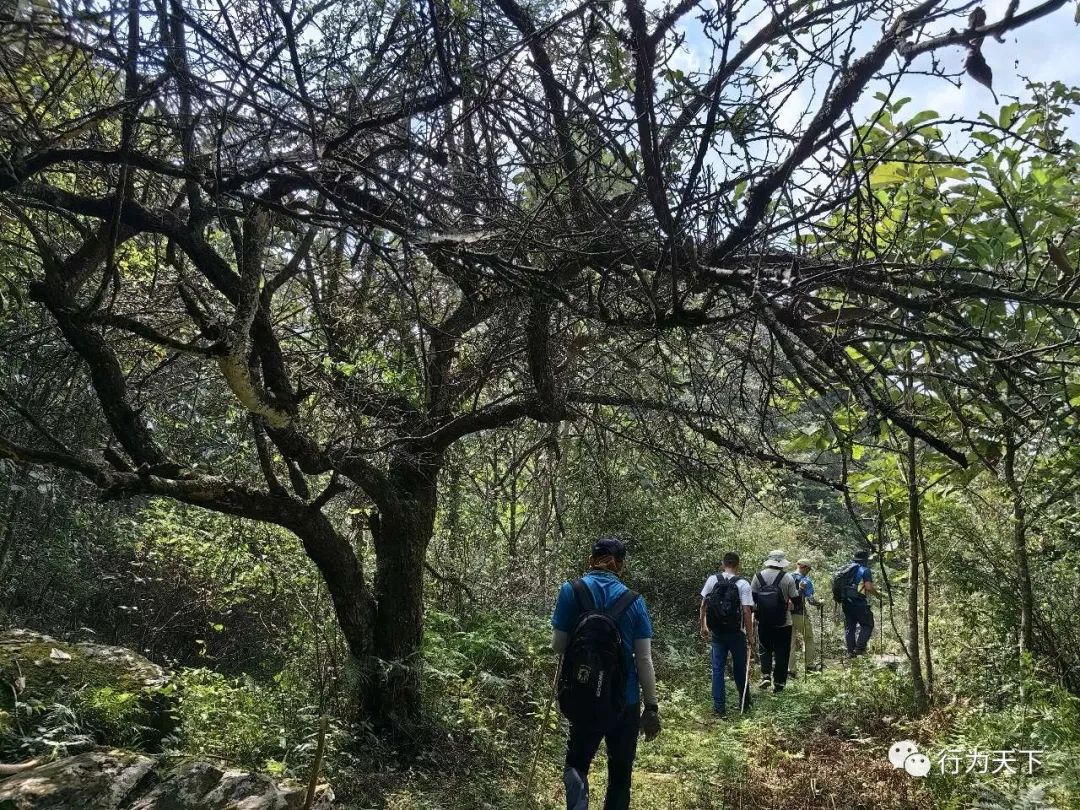 广西龙胜梯田旅游攻略_广西龙胜梯田景区民宿_广西龙胜梯田景区门票