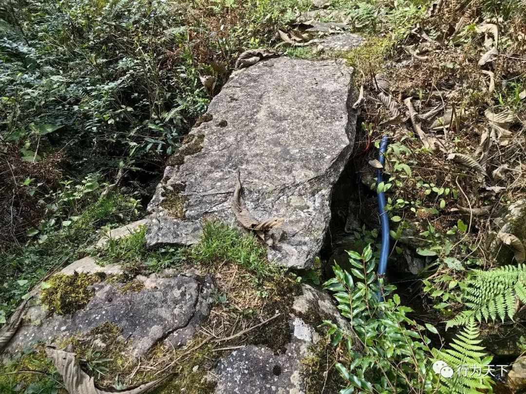 广西龙胜梯田景区民宿_广西龙胜梯田景区门票_广西龙胜梯田旅游攻略