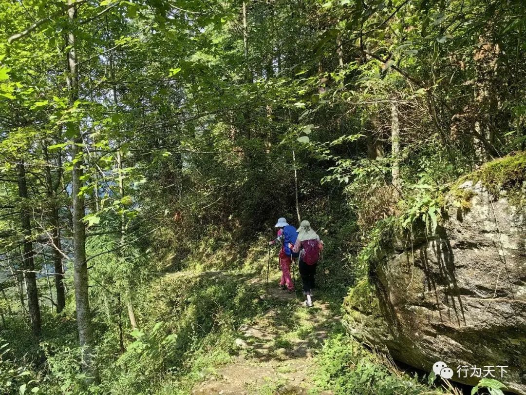 广西龙胜梯田旅游攻略_广西龙胜梯田景区门票_广西龙胜梯田景区民宿