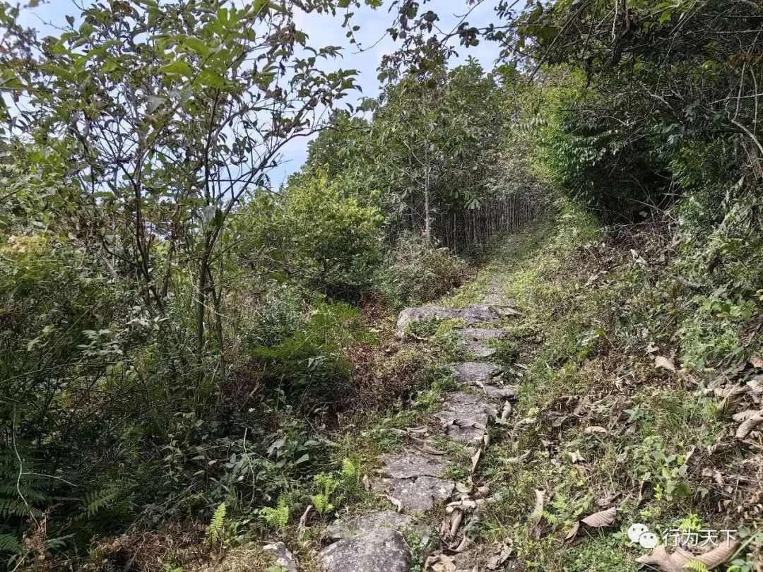 广西龙胜梯田旅游攻略_广西龙胜梯田景区民宿_广西龙胜梯田景区门票