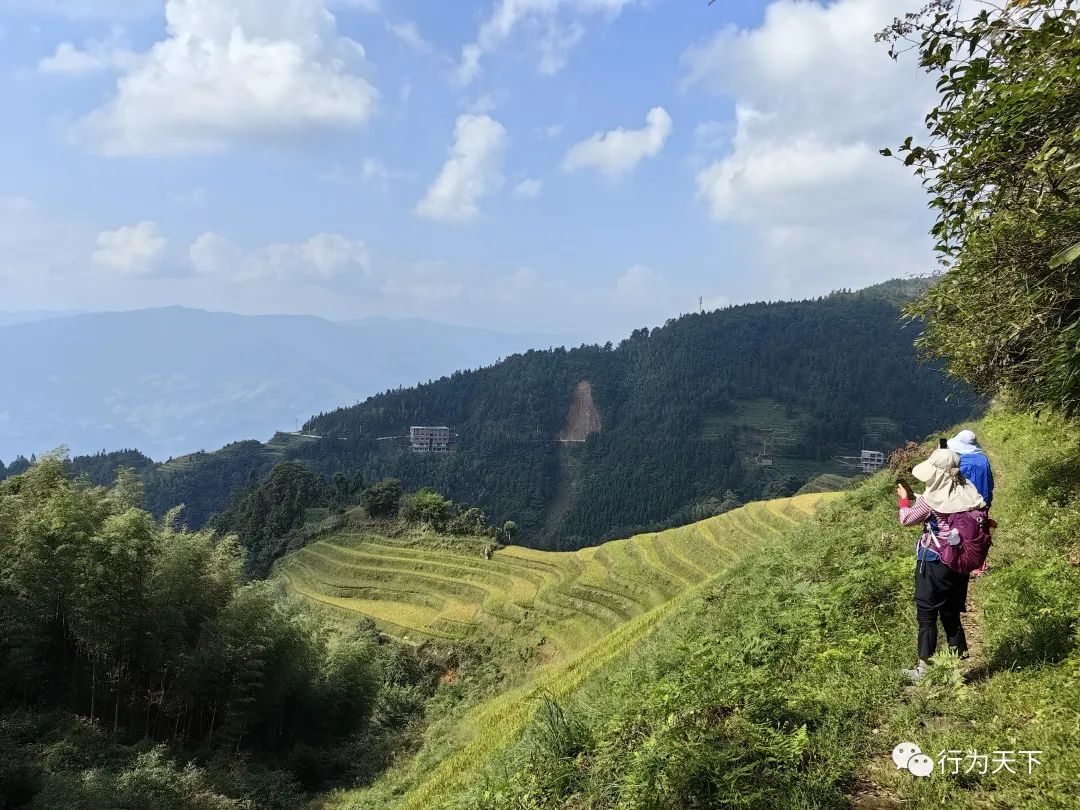 广西龙胜梯田旅游攻略_广西龙胜梯田景区门票_广西龙胜梯田景区民宿