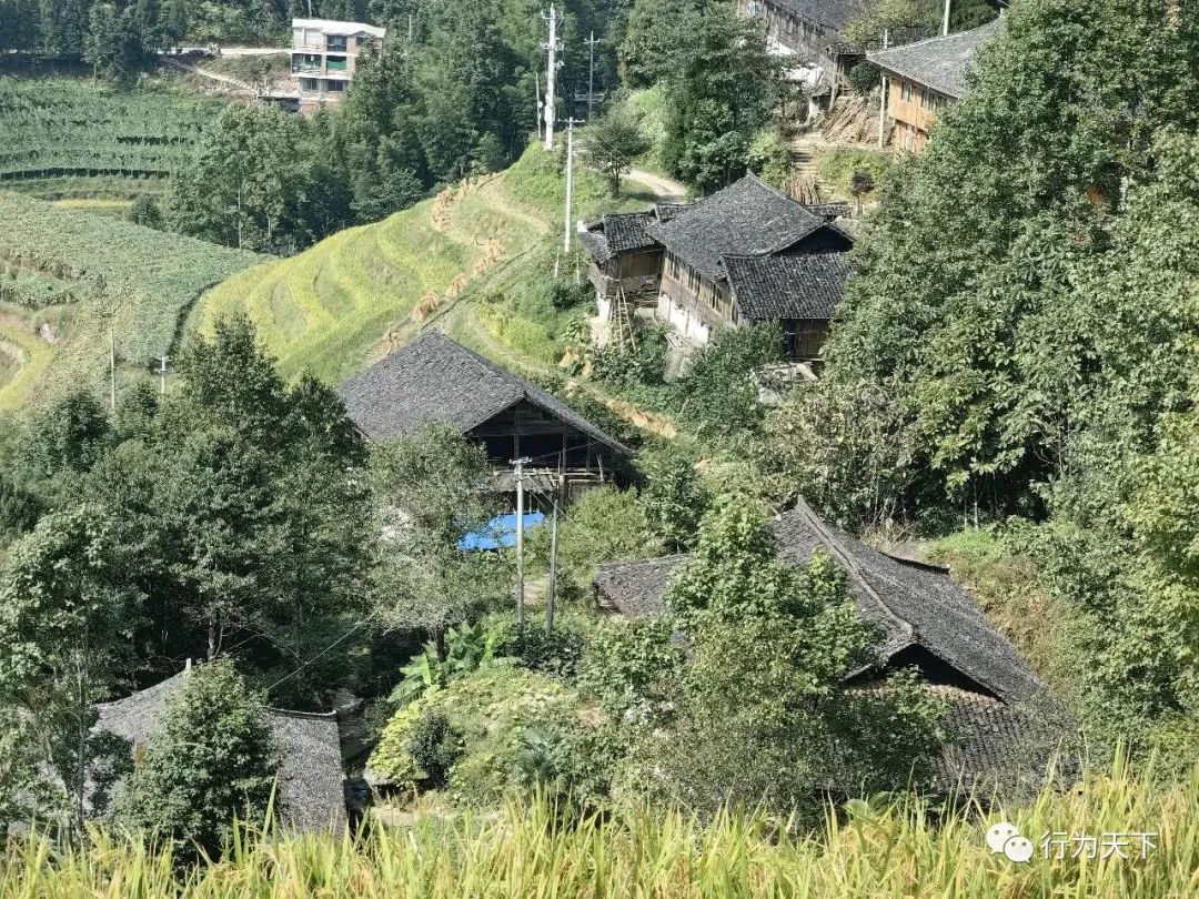 广西龙胜梯田旅游攻略_广西龙胜梯田景区门票_广西龙胜梯田景区民宿
