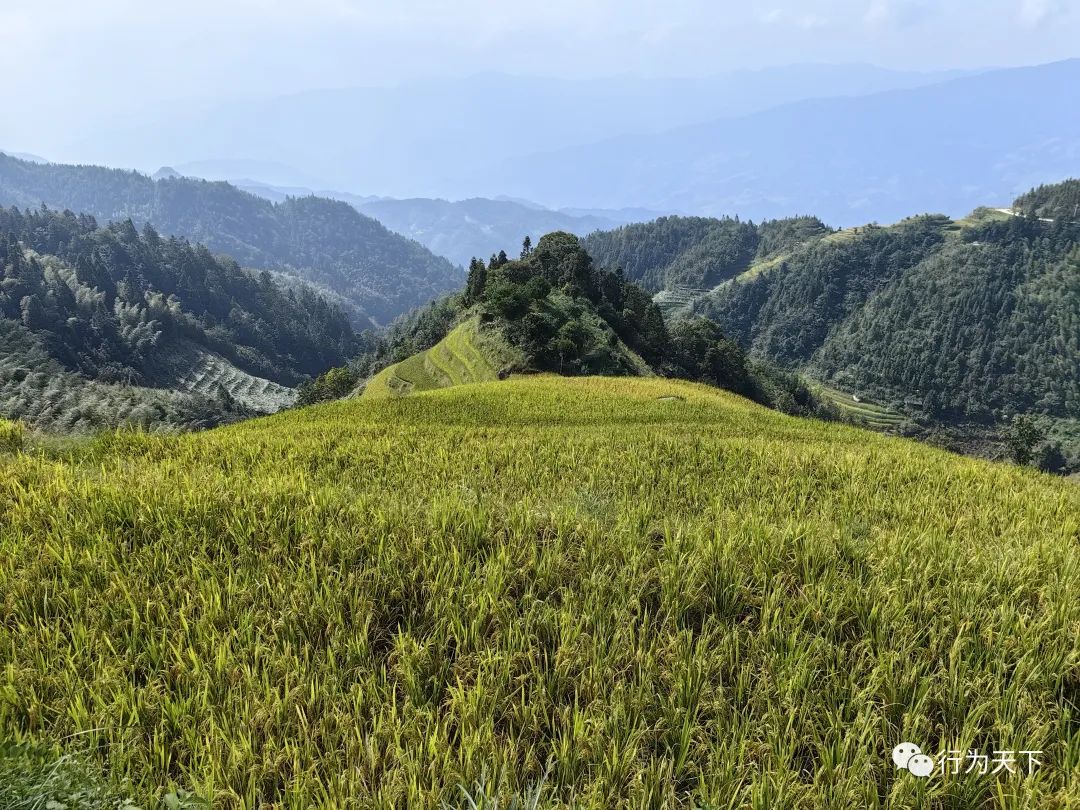 广西龙胜梯田旅游攻略_广西龙胜梯田景区门票_广西龙胜梯田景区民宿