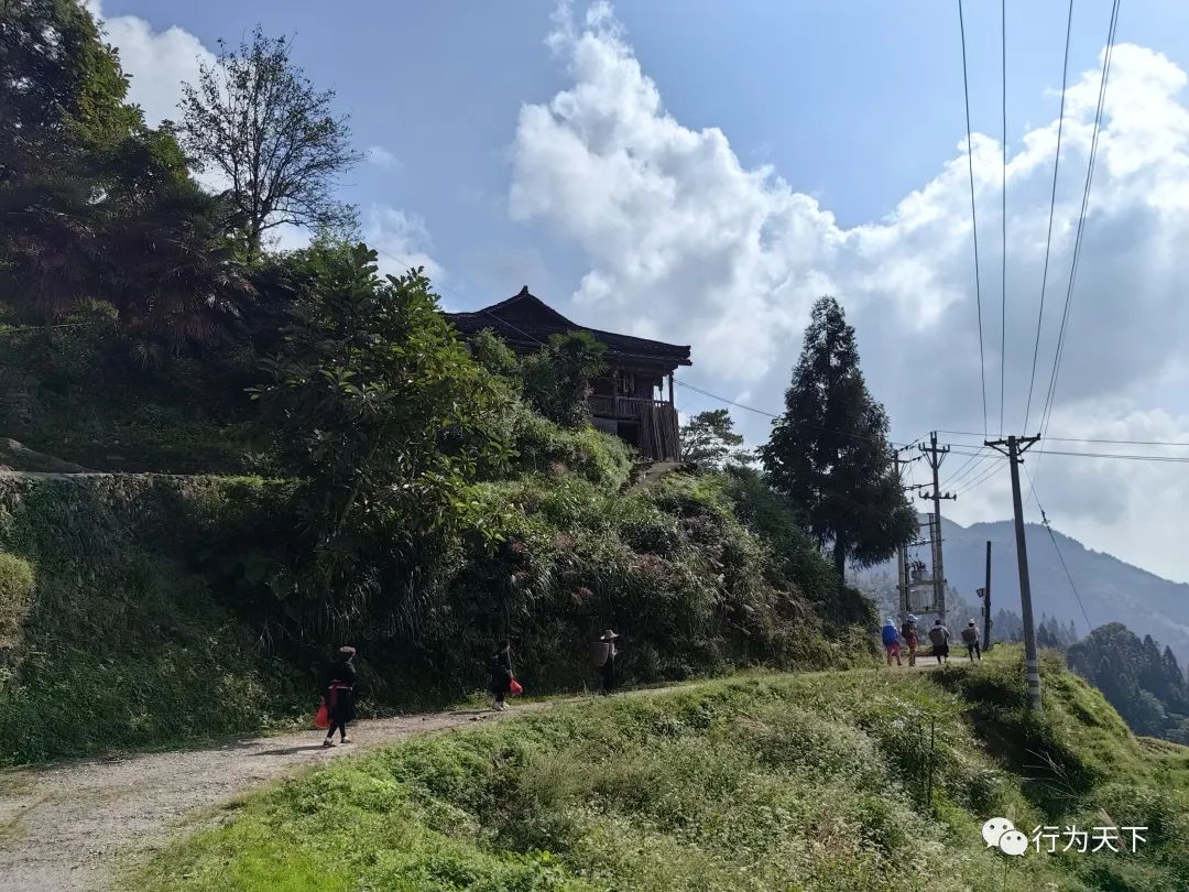 广西龙胜梯田景区民宿_广西龙胜梯田旅游攻略_广西龙胜梯田景区门票
