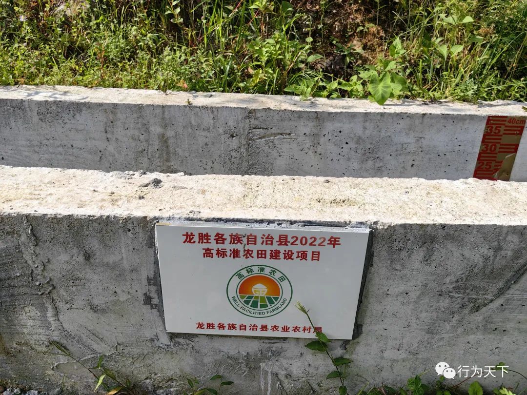 广西龙胜梯田旅游攻略_广西龙胜梯田景区门票_广西龙胜梯田景区民宿