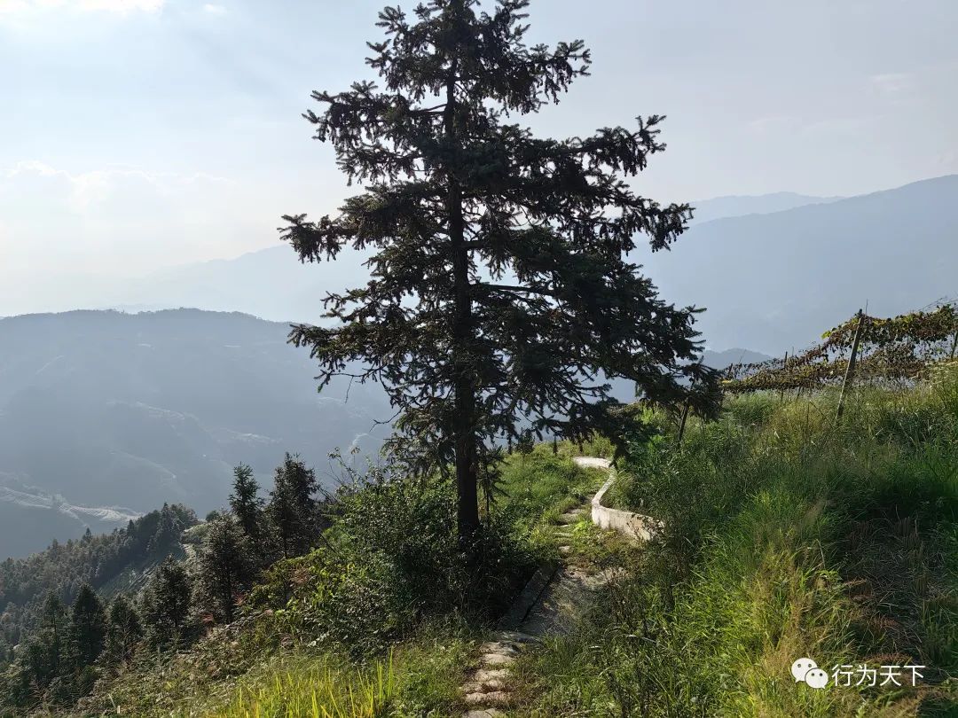 广西龙胜梯田旅游攻略_广西龙胜梯田景区门票_广西龙胜梯田景区民宿