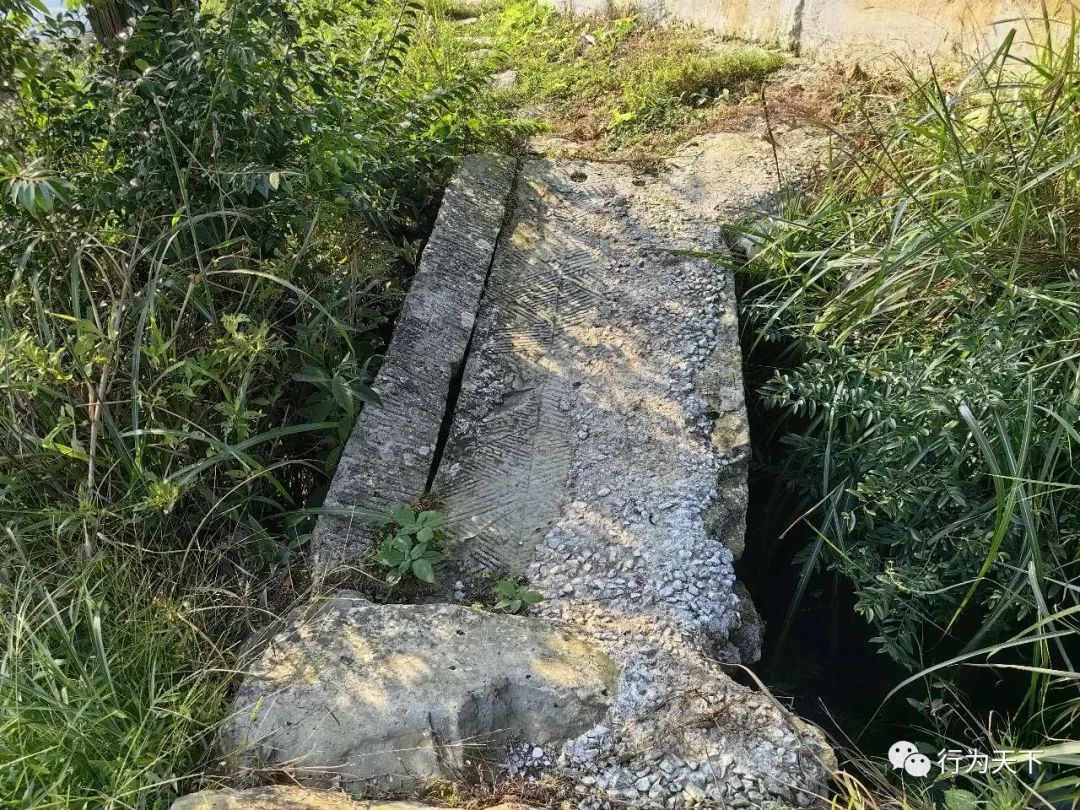 广西龙胜梯田景区民宿_广西龙胜梯田旅游攻略_广西龙胜梯田景区门票