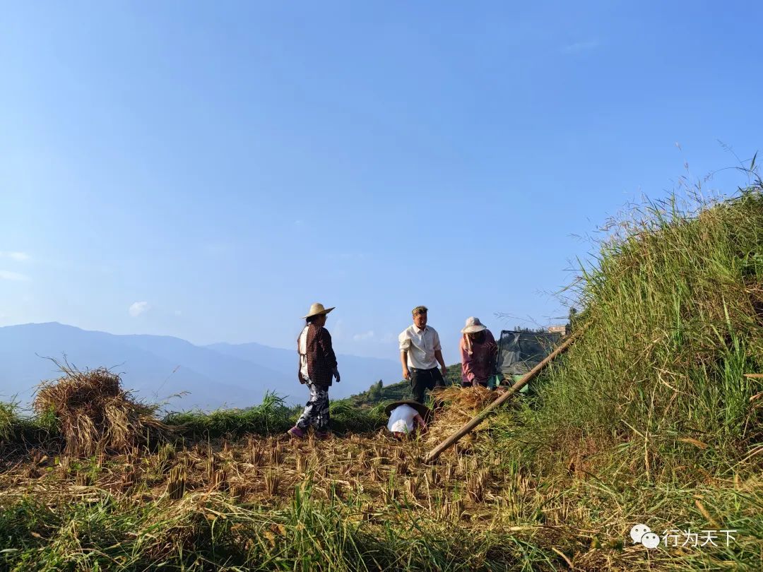 广西龙胜梯田景区民宿_广西龙胜梯田景区门票_广西龙胜梯田旅游攻略