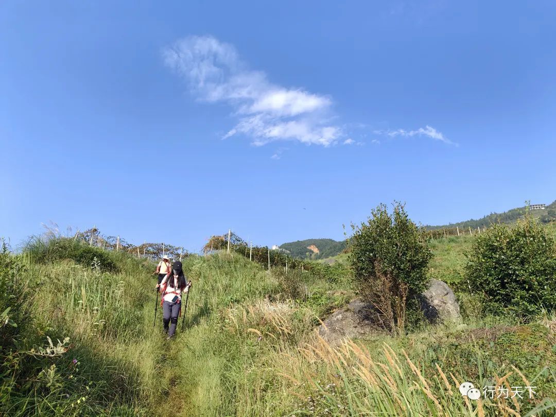 广西龙胜梯田景区门票_广西龙胜梯田景区民宿_广西龙胜梯田旅游攻略