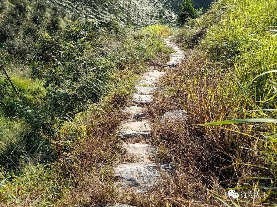 广西龙胜梯田景区门票_广西龙胜梯田景区民宿_广西龙胜梯田旅游攻略