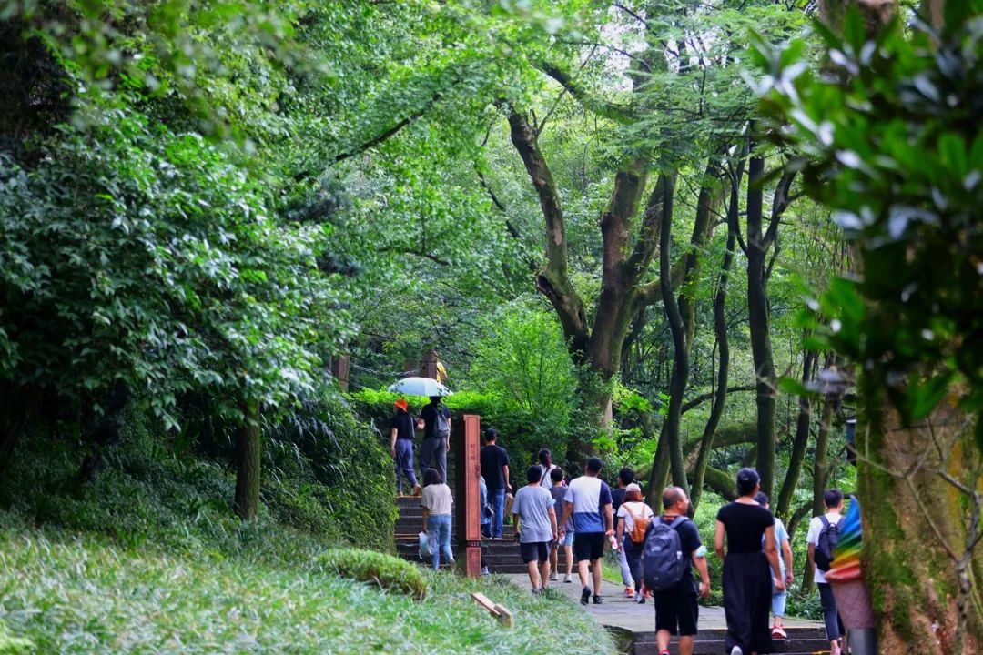 都江堰青城山好玩吗_都江堰青城山旅游官网_青城山都江堰旅游攻略