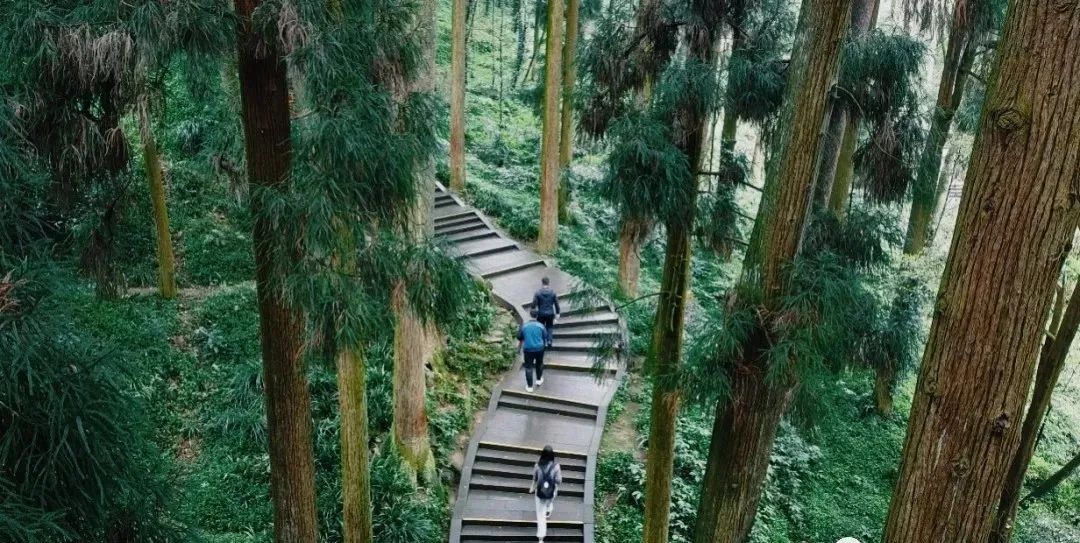 都江堰青城山好玩吗_都江堰青城山旅游官网_青城山都江堰旅游攻略