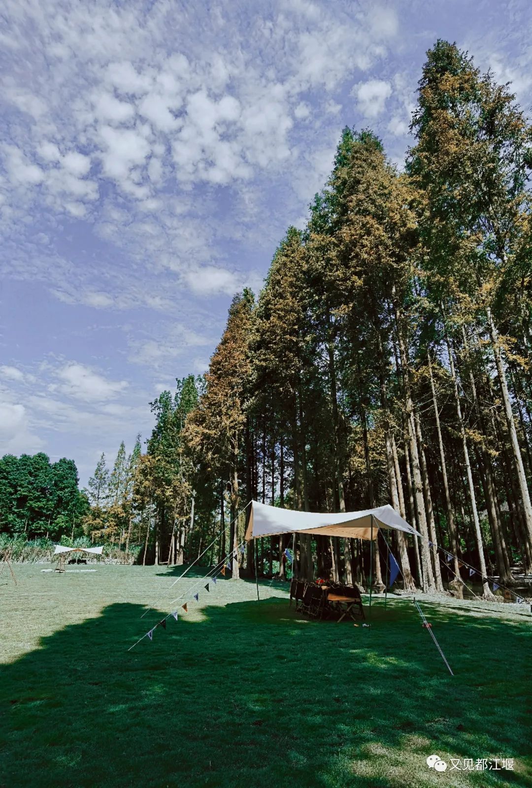 都江堰青城山好玩吗_青城山都江堰旅游攻略_都江堰青城山旅游官网