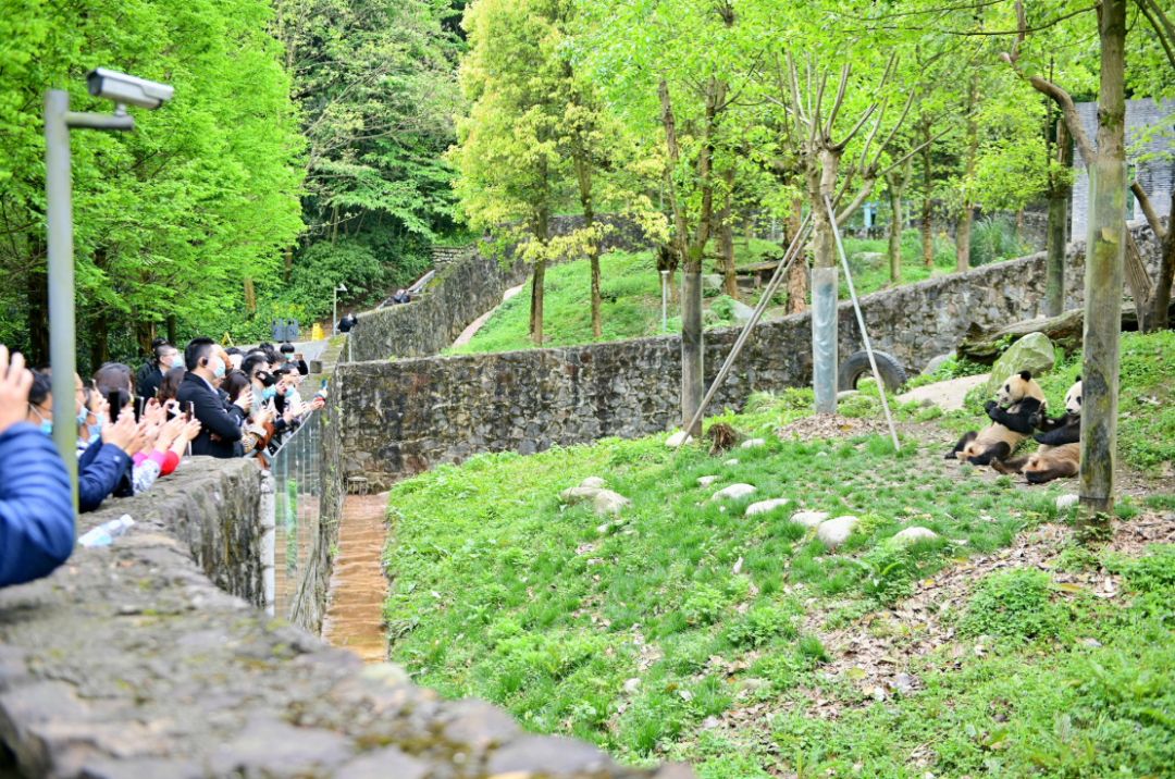 都江堰青城山好玩吗_都江堰青城山旅游官网_青城山都江堰旅游攻略