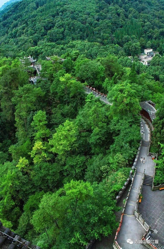 青城山都江堰旅游攻略_都江堰青城山旅游官网_都江堰青城山好玩吗