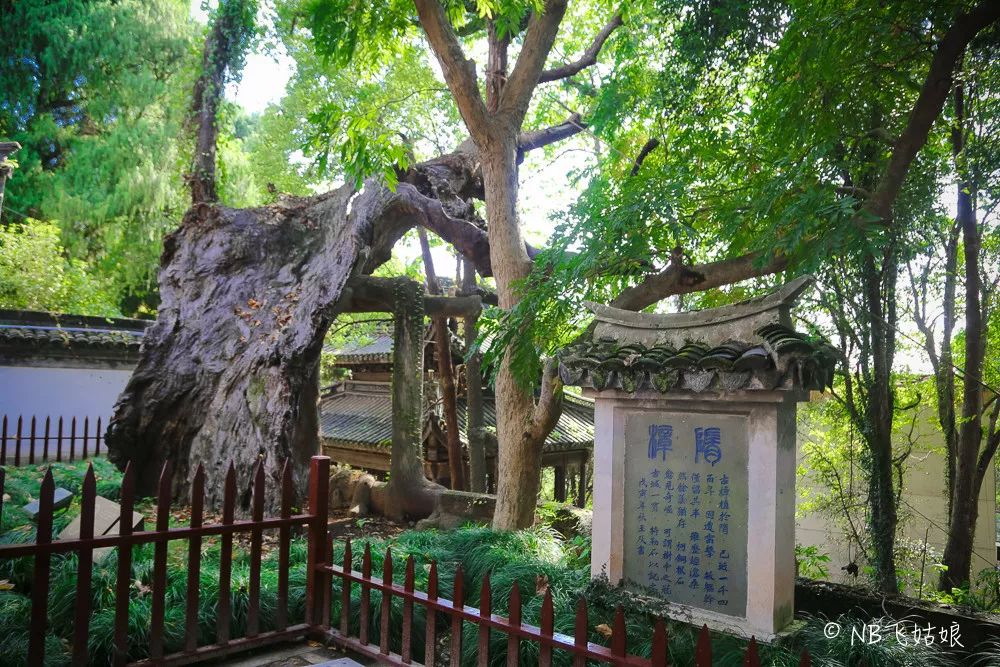临海古长城旅游攻略_临海长城好玩吗_临海长城景色