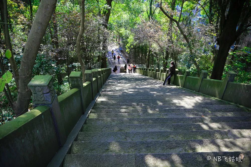 临海长城好玩吗_临海古长城旅游攻略_临海长城景色