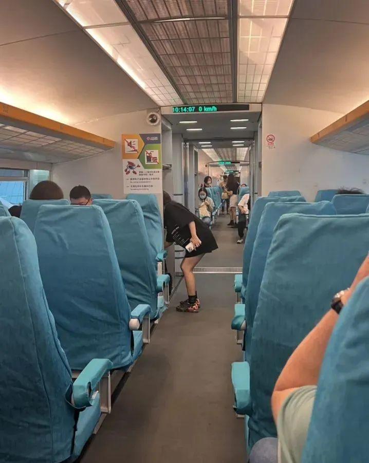 西安市内旅游攻略_西安旅游市内玩景点_西安市区内旅游