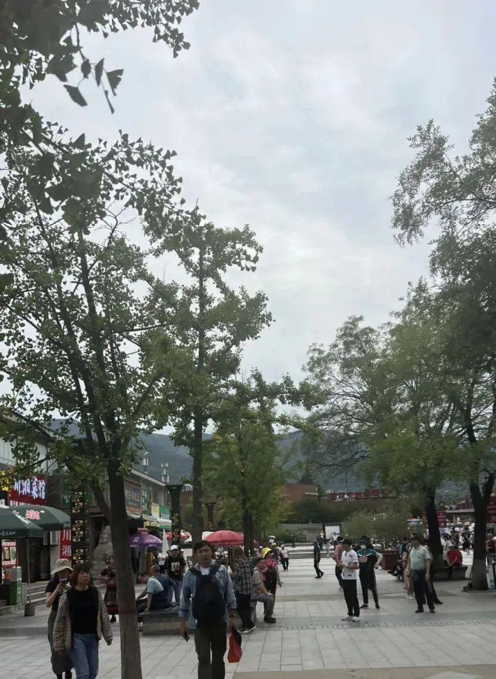 西安旅游市内玩景点_西安市区内旅游_西安市内旅游攻略