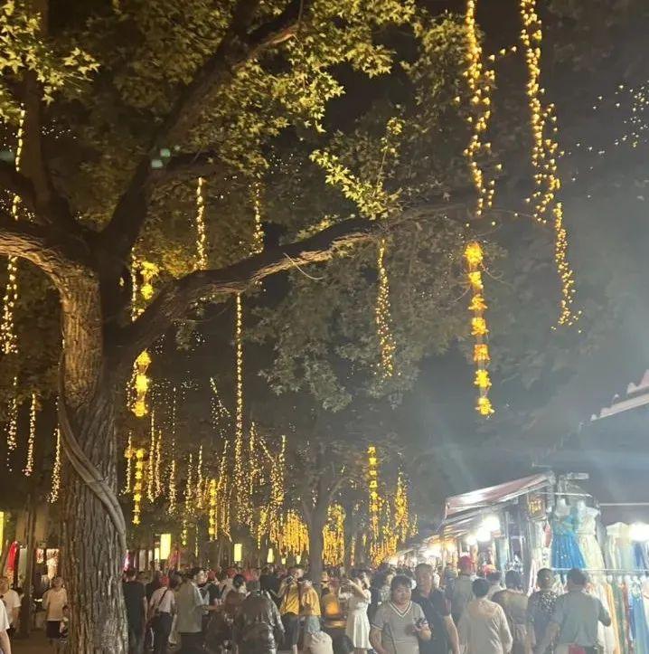西安市区内旅游_西安市内旅游攻略_西安旅游市内玩景点