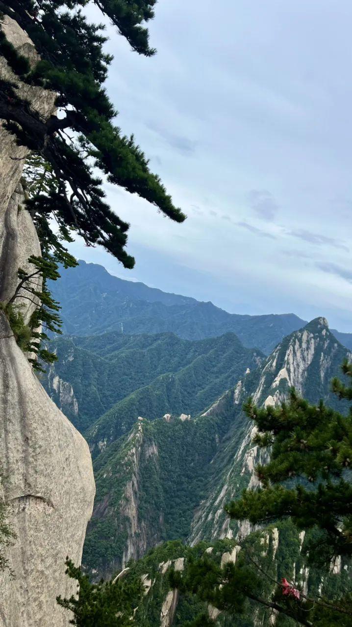 西安市区内旅游_西安旅游市内玩景点_西安市内旅游攻略